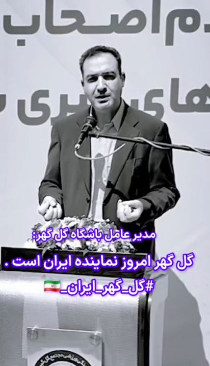 مدیر عامل باشگاه گل گهر